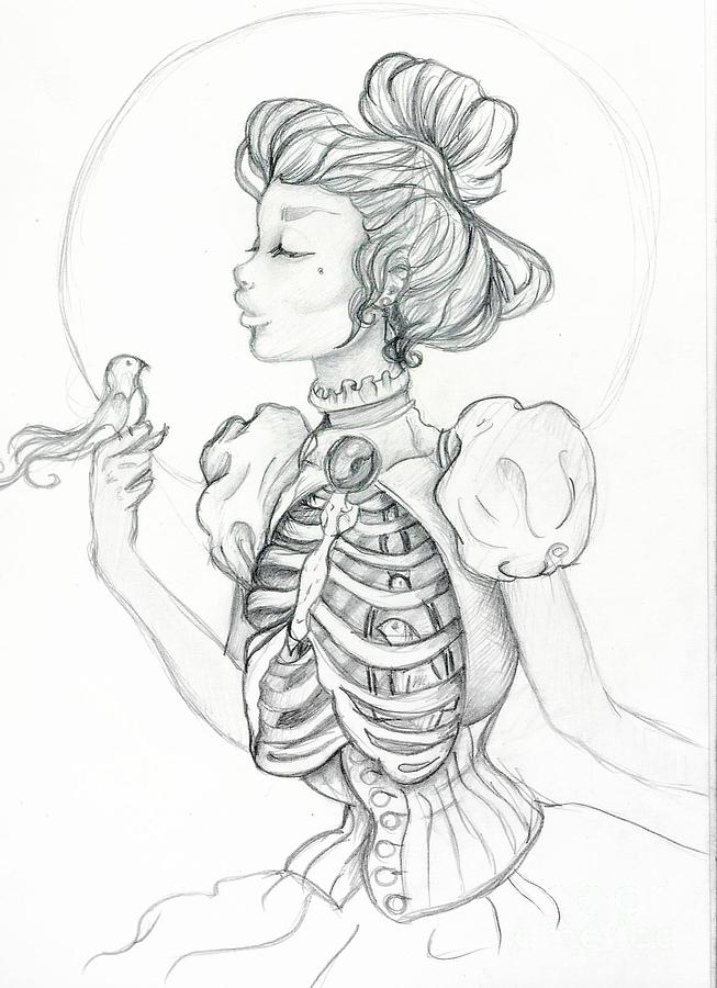 653x900 Victorian Cage Drawing - Cage Drawing