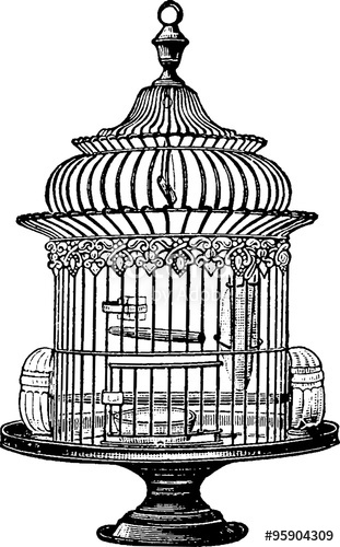 311x500 Vintage Drawing Bird Cage Stock Photo And Royalty Free Images - Cage Drawing