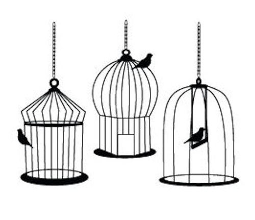 500x431 bird cage drawings bird cages images hawaii dermatology - Cage Drawing