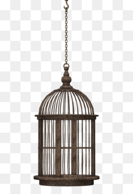 260x380 bird cage png - Cage Drawing