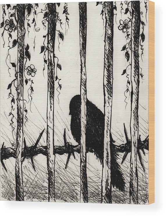 570x740 Caged Bird Wood Print - Caged Bird Drawing