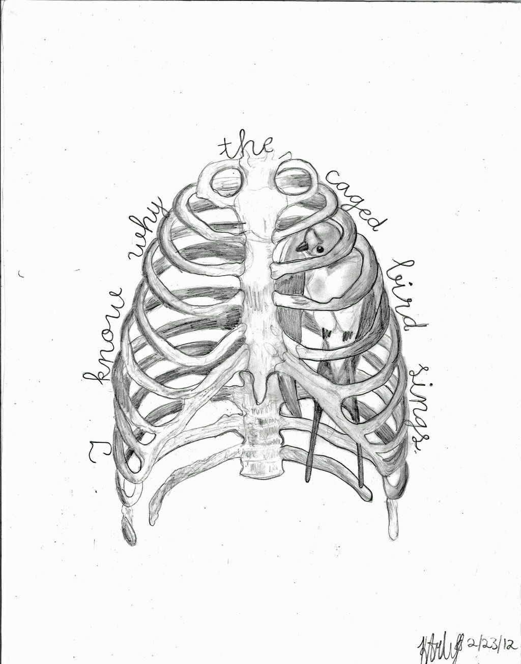 1024x1303 I Know Why The Caged Bird Sings - Caged Bird Drawing