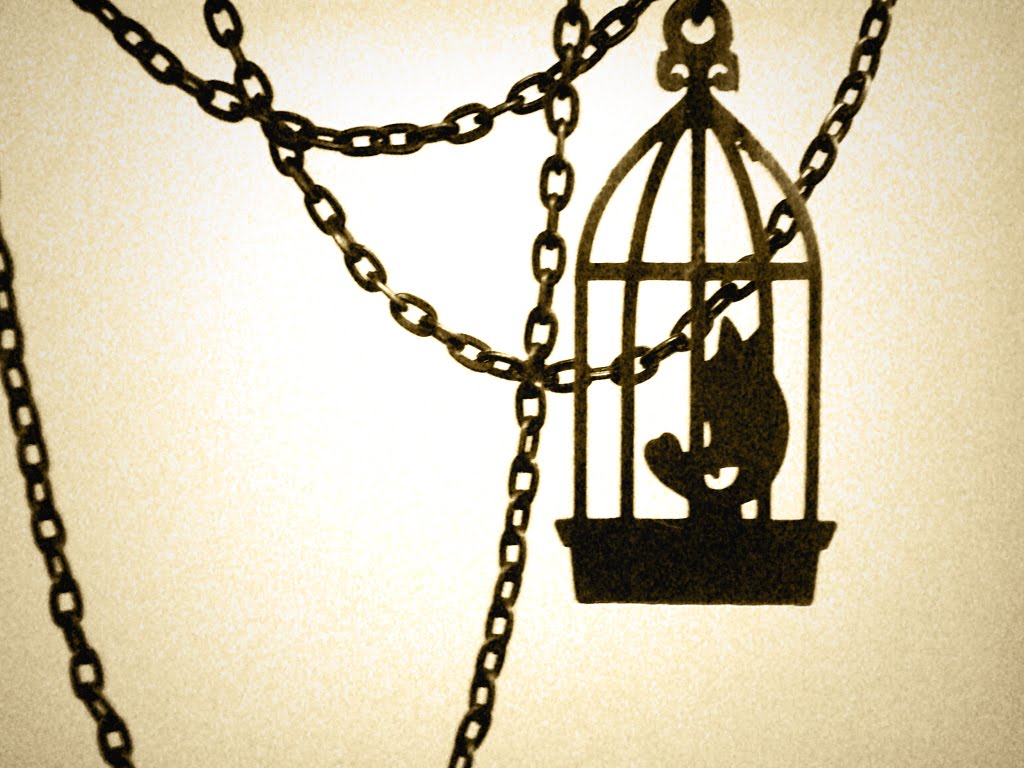 Caged Bird Drawing At PaintingValley.com | Explore Collection Of Caged ...