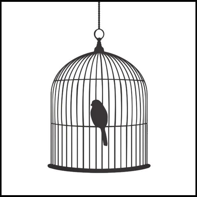 640x642 Semiotics Of The Birdcage - Caged Bird Drawing