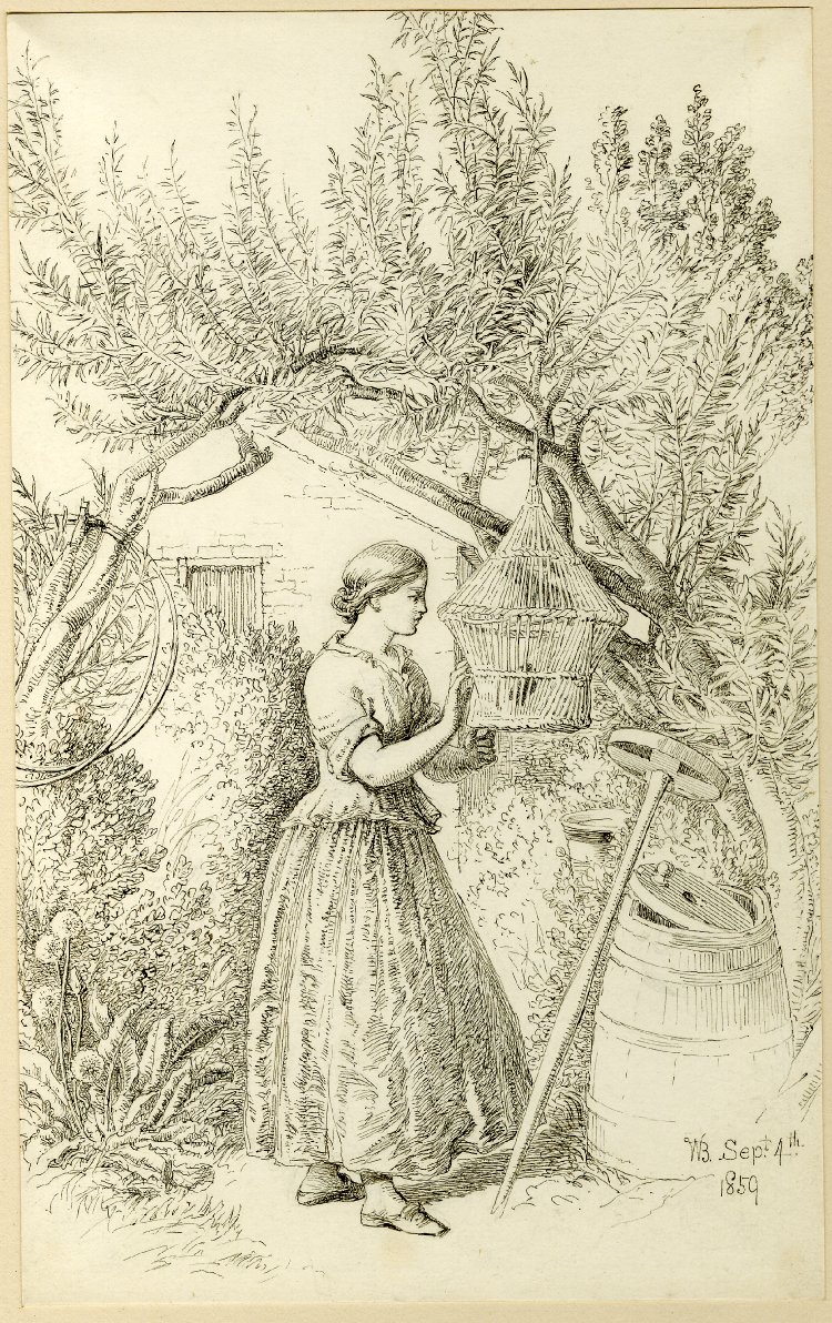 750x1192 British Museum - Caged Bird Drawing