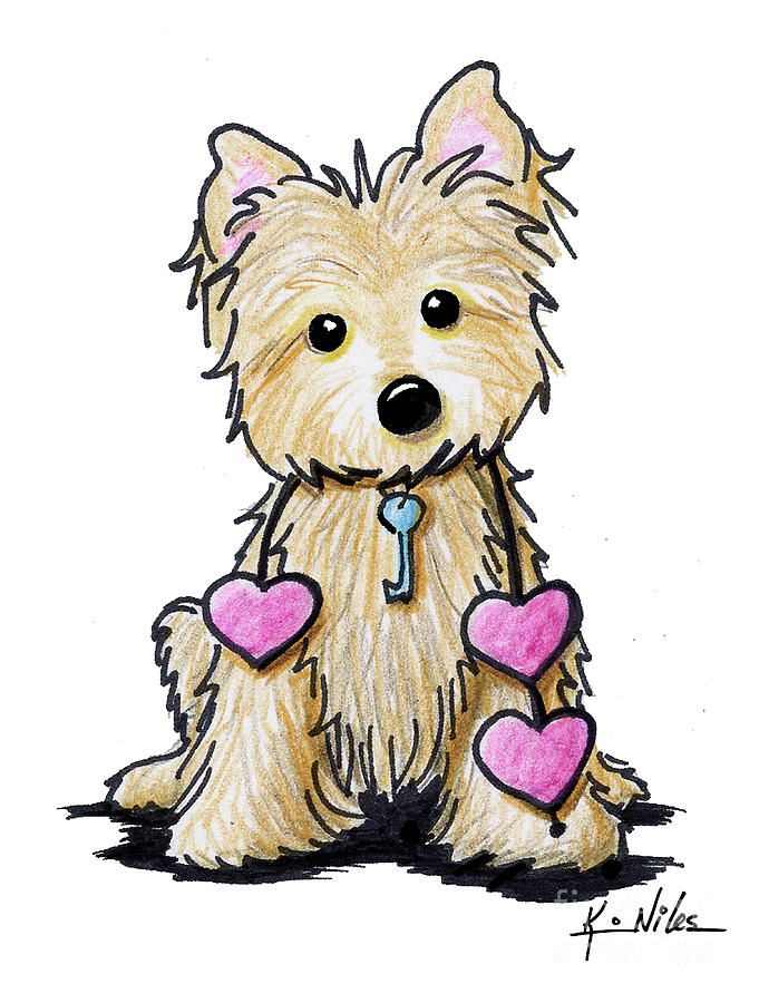 681x900 cairn drawing - Cairn Terrier Drawing