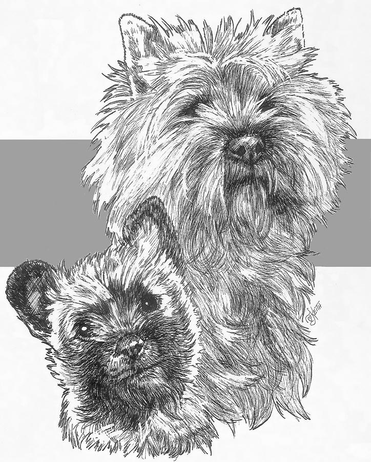 724x900 cairn terrier and pup drawing - Cairn Terrier Drawing