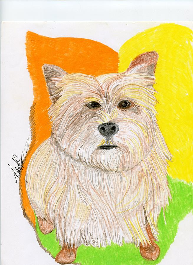 654x900 cairn terrier drawing - Cairn Terrier Drawing