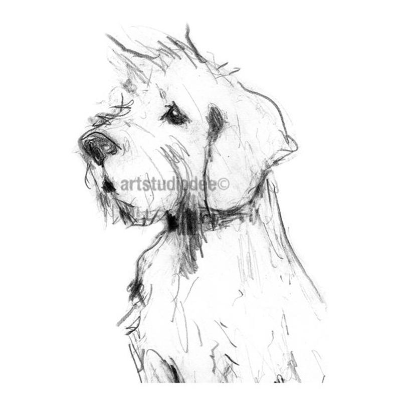 794x794 cairn terrier print or terrier gifts dog lover gift etsy - Cairn Terrier Drawing