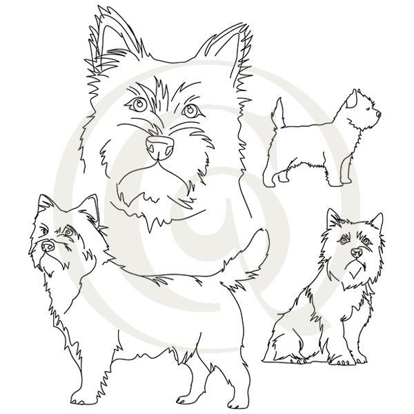 600x600 cairn terrier sketch svgdxf dogs drawing craft genesis - Cairn Terrier Drawing