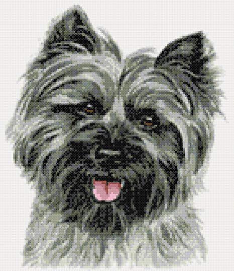 466x538 cairn terrier counted cross stitch kit kitchen home - Cairn Terrier Drawing