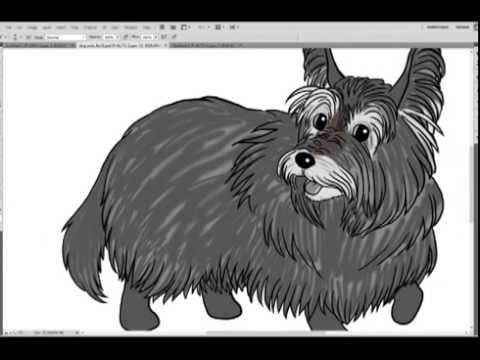 480x360 drawing a cairn terrier - Cairn Terrier Drawing