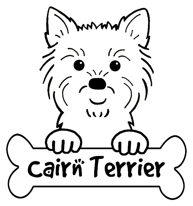 660x705 how to draw cairn terrier apk download drawing cairn terrier - Cairn Terrier Drawing