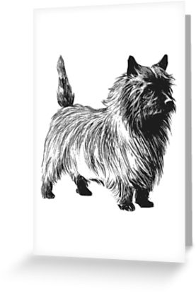 277x415 cairn terrier drawing greeting cards - Cairn Terrier Drawing