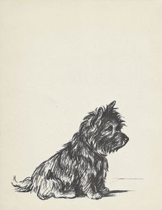 236x306 cairn terrier tattoo - Cairn Terrier Drawing