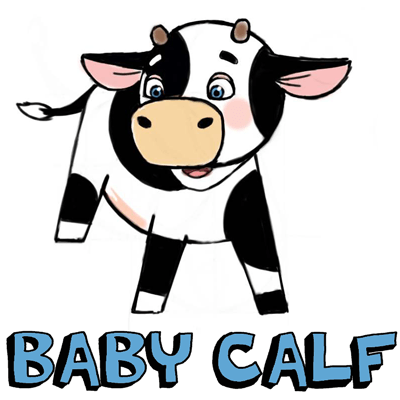 400x400 how to draw cute cartoon baby cows with step - Calf Drawing