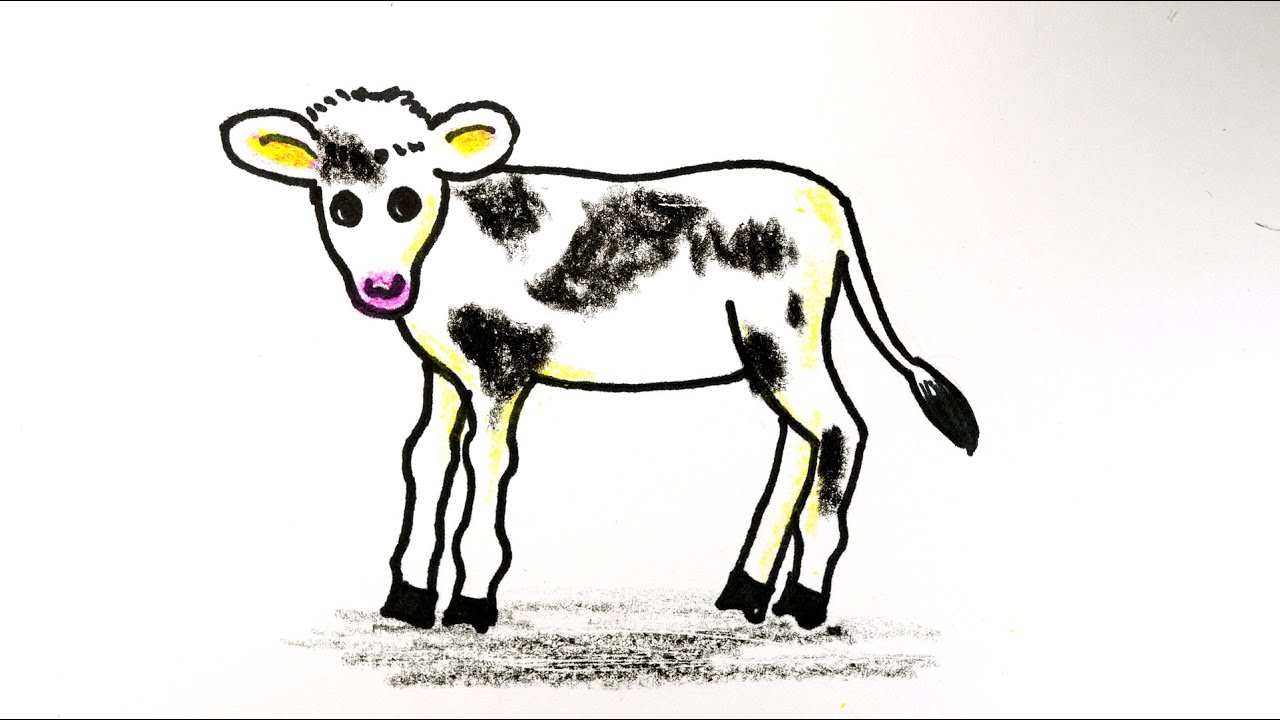 Calf Drawing at PaintingValley.com | Explore collection of Calf Drawing