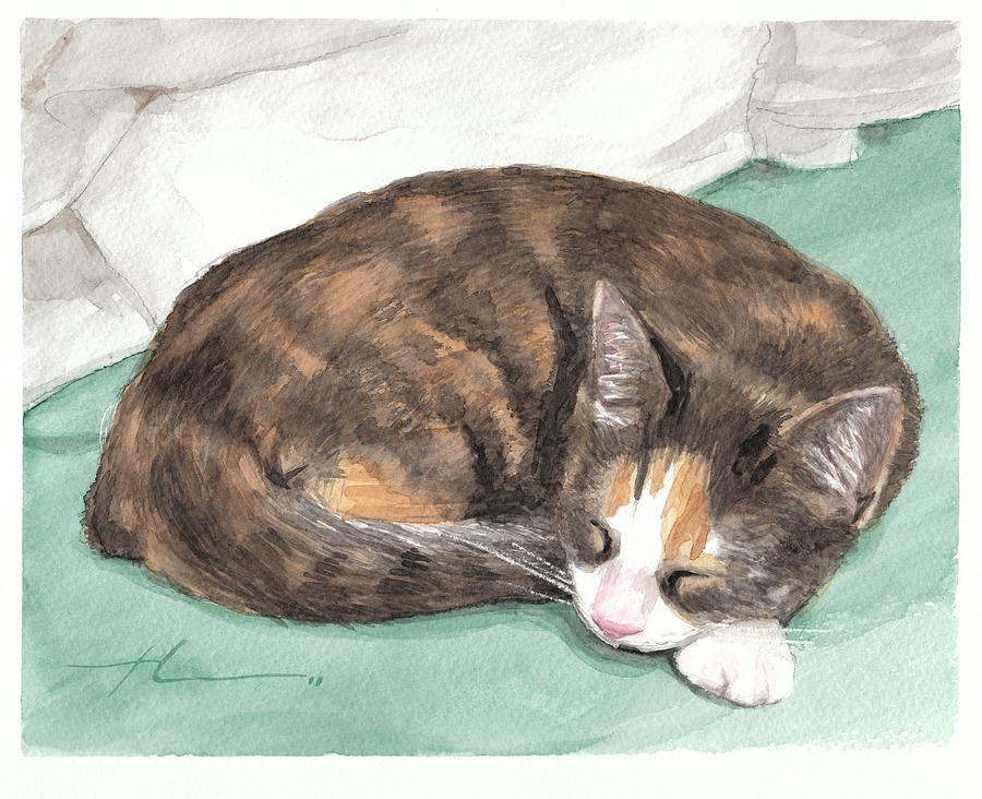 900x732 Calico Cat Sleeping Watercolor Portrait Drawing - Calico Cat Drawing