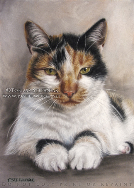 457x640 Calico Cat Drawing - Calico Cat Drawing