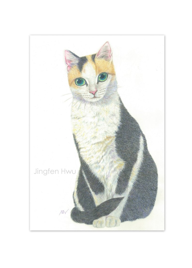 794x1110 cat art print a calico cat watercolor pencil drawing cat etsy - Calico Cat Drawing