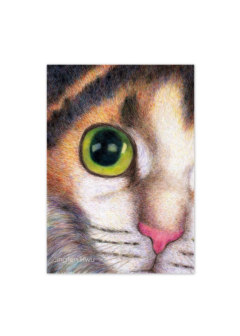 794x1110 Cat Art Print Calico Cat Face Drawing Animal Pet Etsy - Calico Cat Drawing
