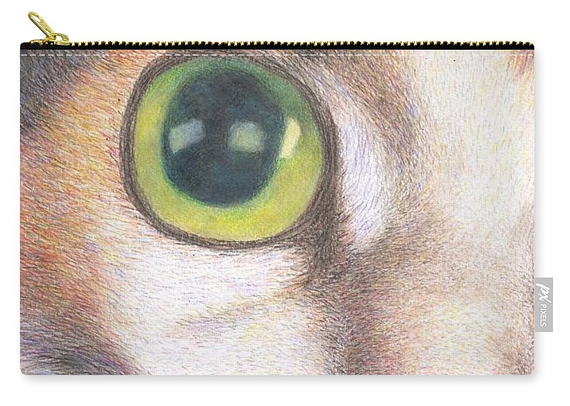 800x570 A Calico Cat Face Drawing Carry All Pouch For Sale - Calico Cat Drawing