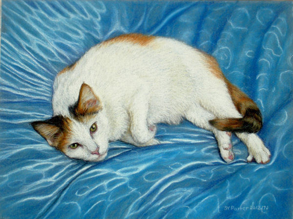 600x449 Original Pastel Drawing Cute Calico Cat On Blue Pillow Sally - Calico Cat Drawing