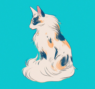 400x376 Calico Cat Tumblr - Calico Cat Drawing