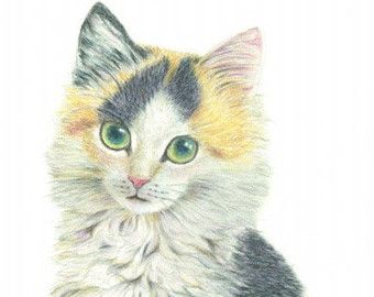 340x270 Calico Cat Drawing Digital Print Closeup Of A Calico Cat Colored - Calico Cat Drawing