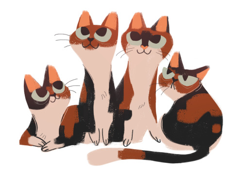 500x356 Cat Drawing Illustration Cats Sketch Calico Character Design Daily - Calico Cat Drawing
