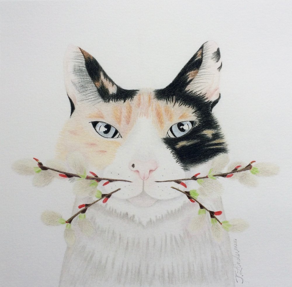 1000x983 Colored Pencil - Calico Cat Drawing
