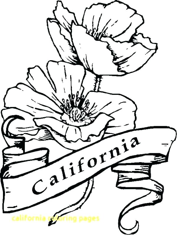 600x793 Poppy Coloring - California Drawing