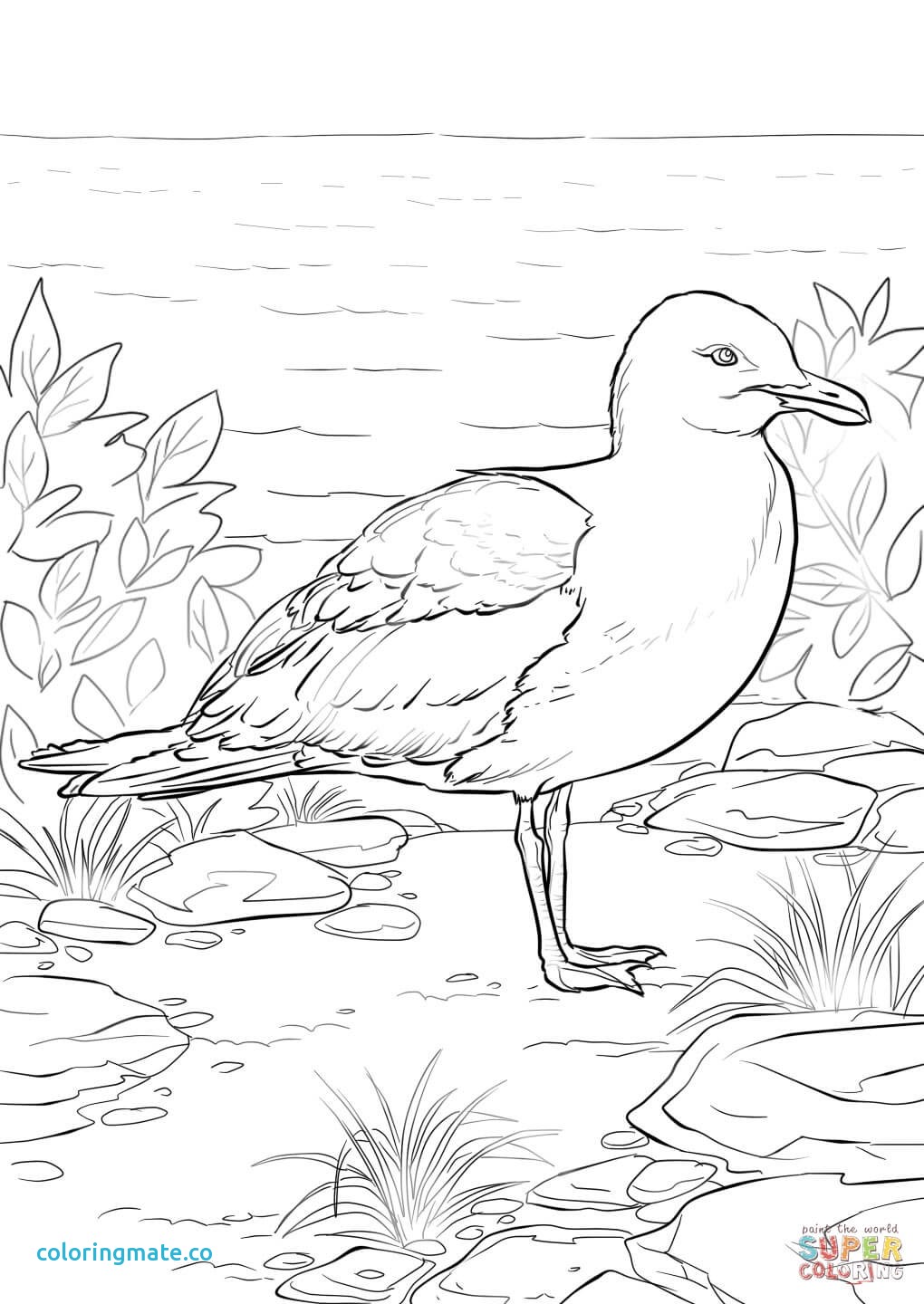 1020x1440 California Flag Drawing - California Flag Drawing