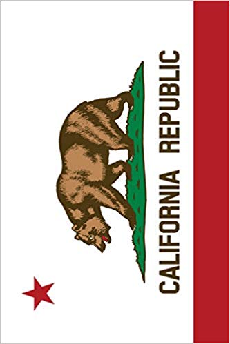 333x499 California Flag Sketchbook - California Flag Drawing