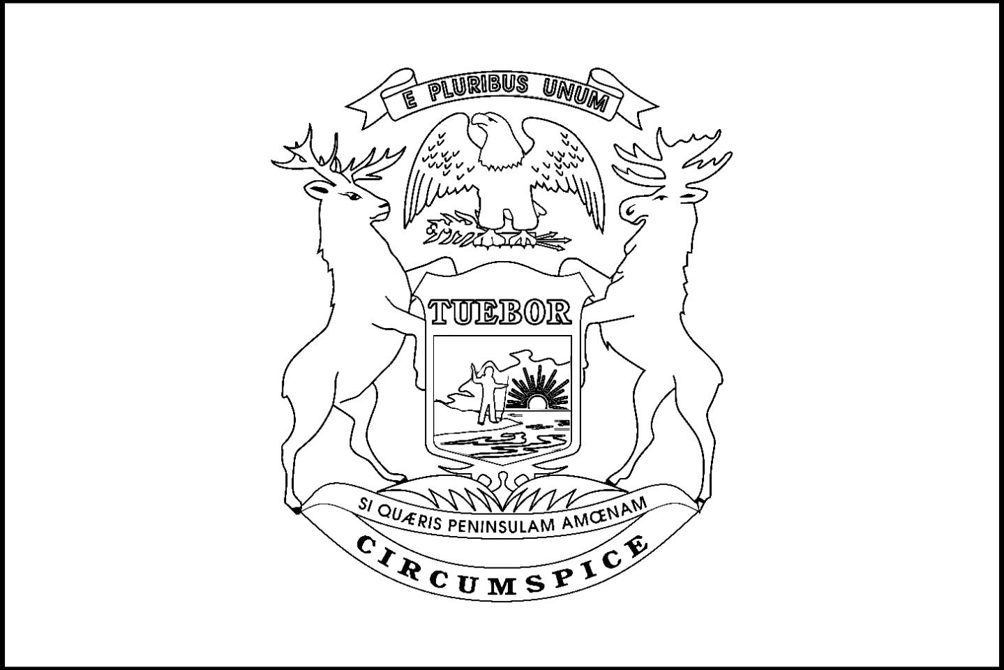 1439x960 california flag coloring - California Flag Drawing