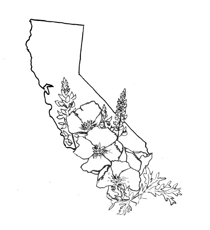 670x735 california map drawing wonderful tattoo designs x on heres your - California Map Drawing