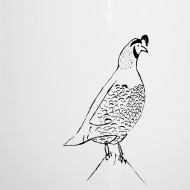 190x190 California Quail Enamel Mug Spreadshirt - California Quail Drawing
