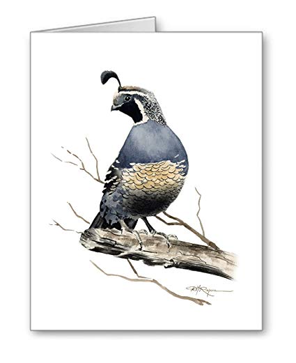 425x521 California Quail - California Quail Drawing