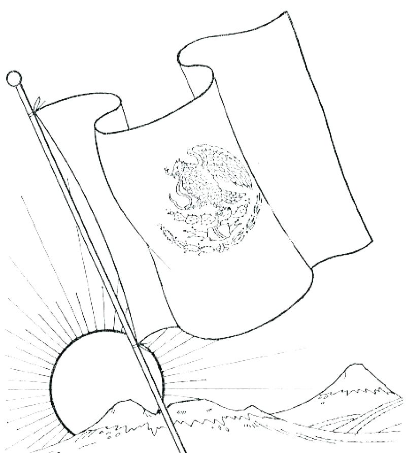 800x892 california flag coloring pages state flower coloring - California State Drawing