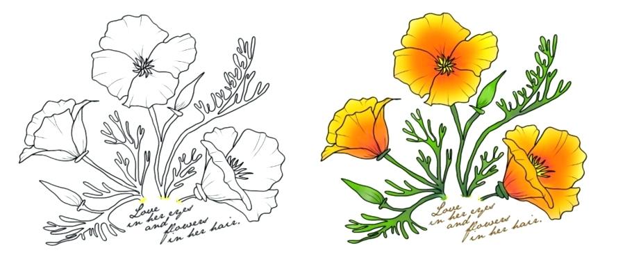 900x380 california state flower drawing home workout equipment - California State Drawing