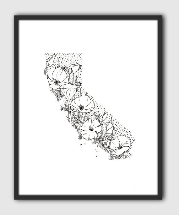 570x686 californiagt poppygt state flower drawinggt giclee print california - California State Drawing