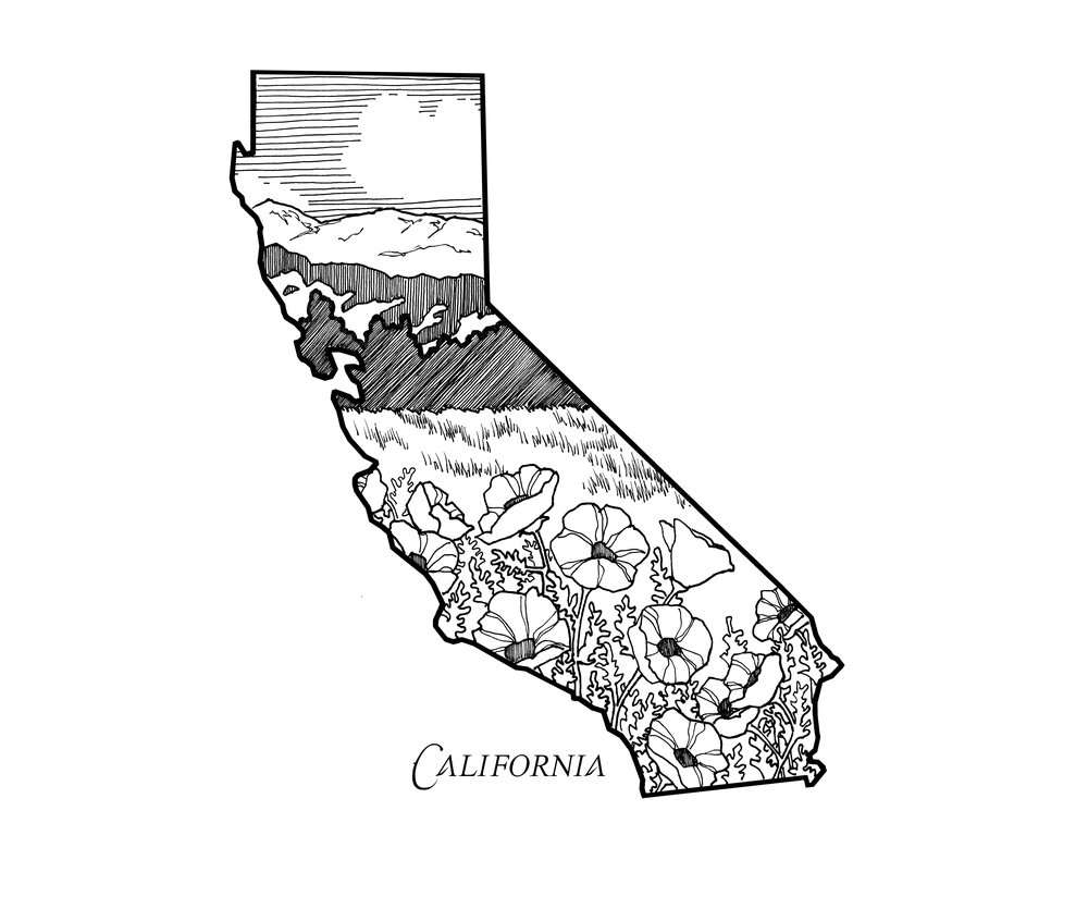 50 best ideas for coloring California Symbols Drawing Tutorial