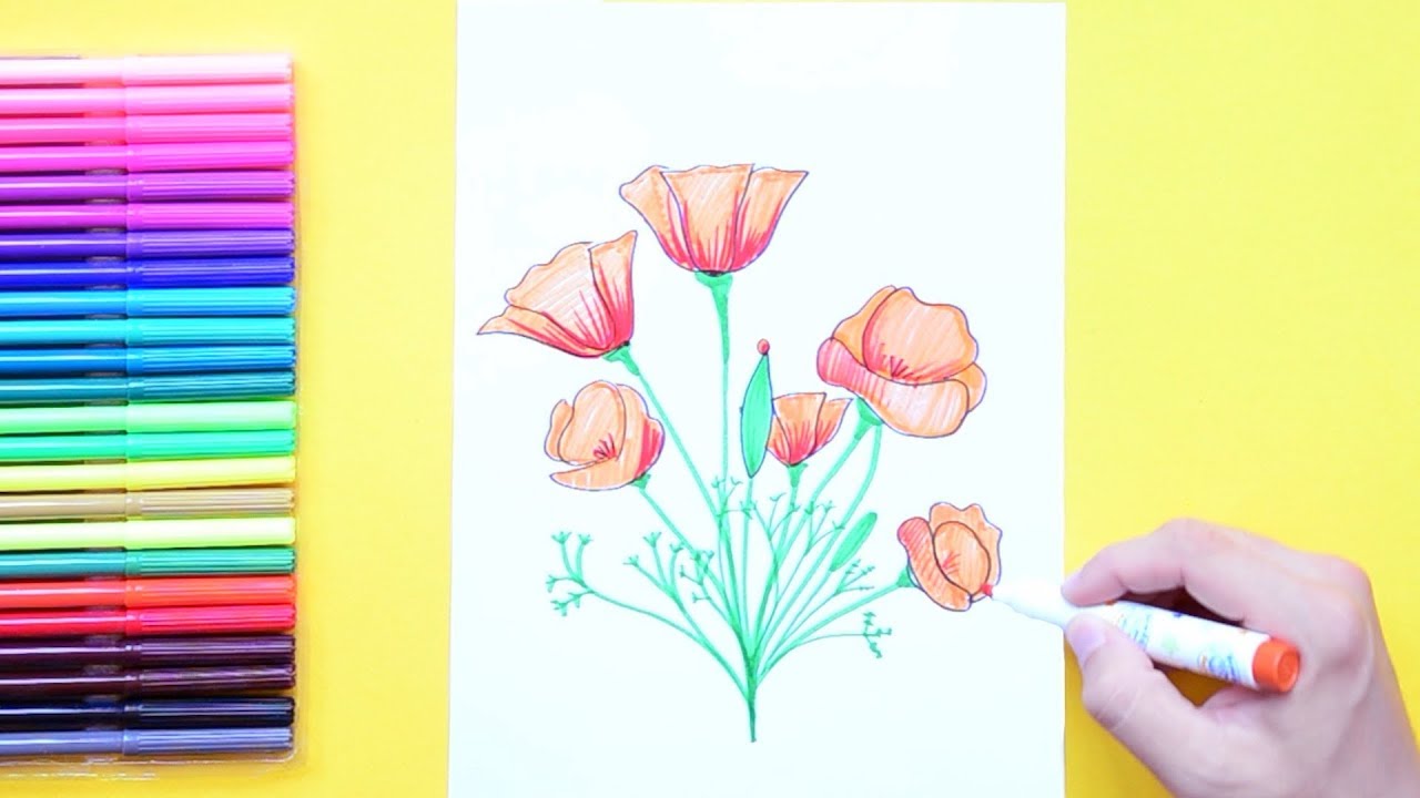 1280x720 how to draw california poppy - California State Drawing