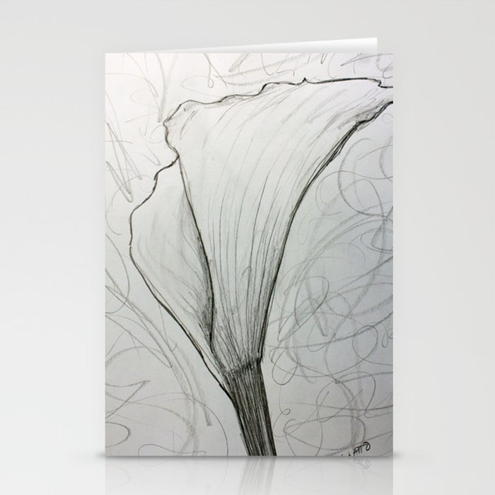 700x700 white calla lily drawing stationery cards - Calla Lily Drawing