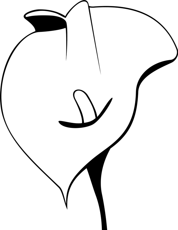 619x800 Calla Lily Outline Rubber Stamp Flower Leaf Stamps Stamptopia - Calla Lily Drawing Outline