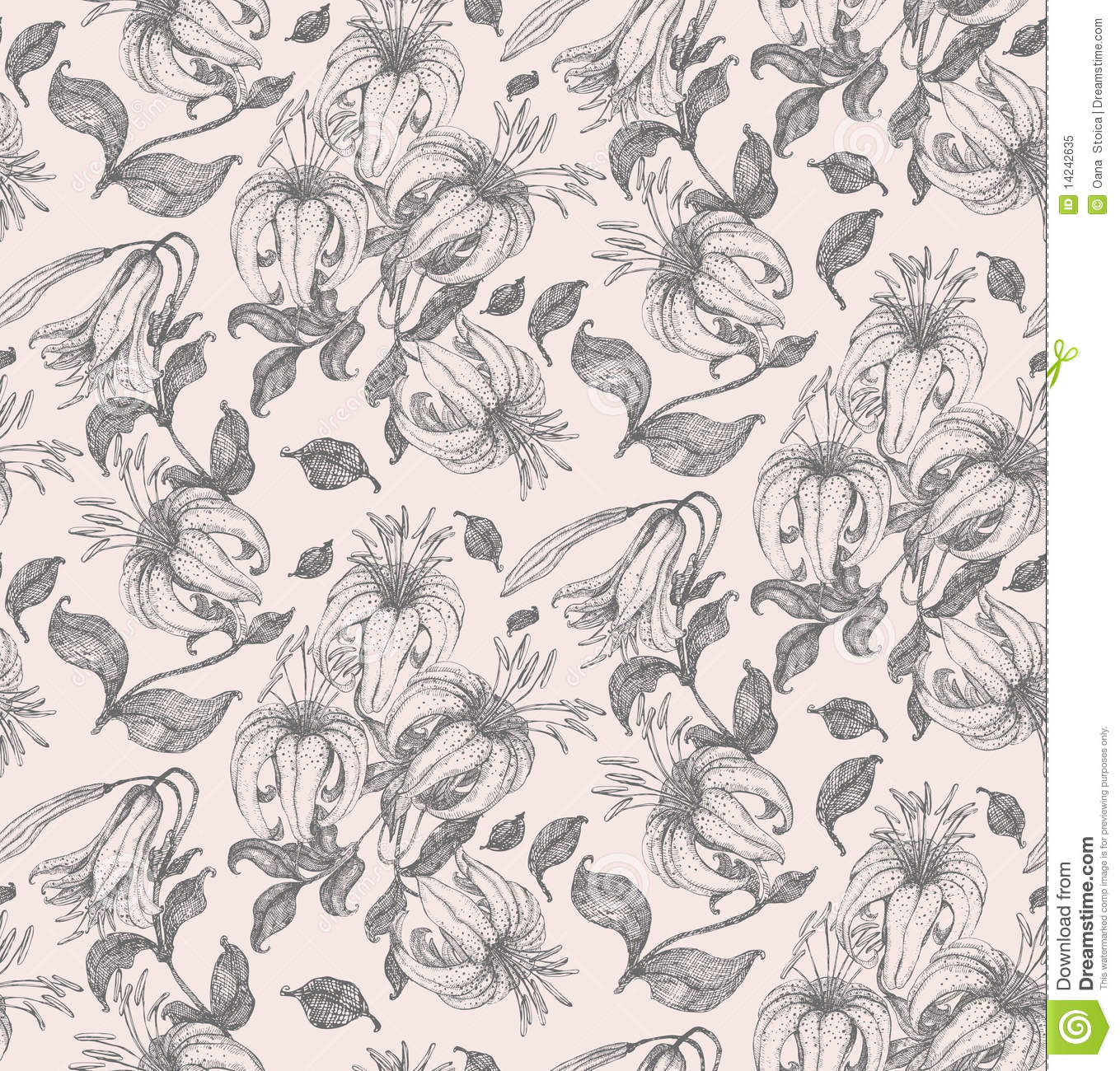 1359x1300 Pulitzer Flower Images - Calla Lily Drawing Pattern