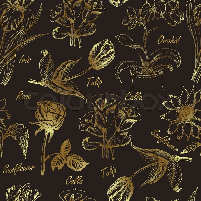 800x800 hand drawing seamless pattern of stock vector colourbox - Calla Lily Drawing Pattern