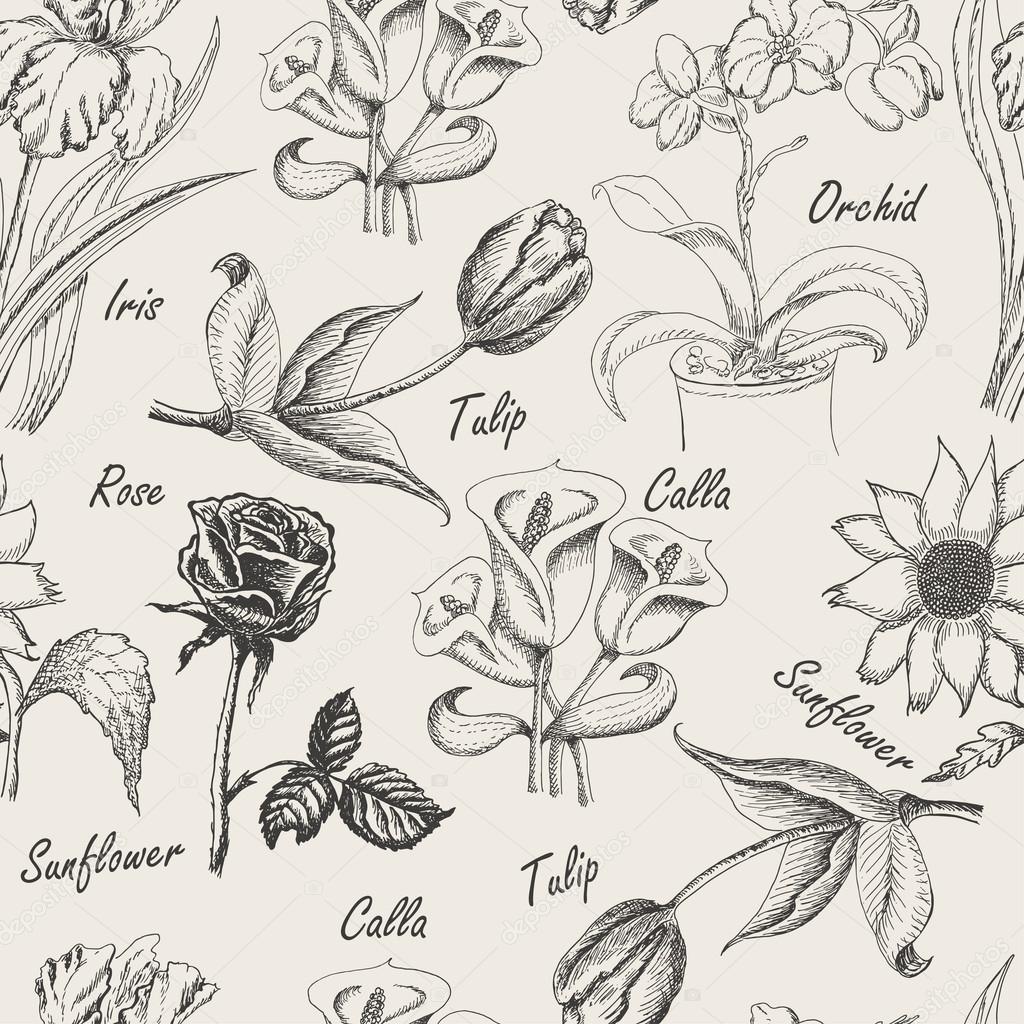 1024x1024 Tulip Drawing Pattern For Free Download - Calla Lily Drawing Pattern
