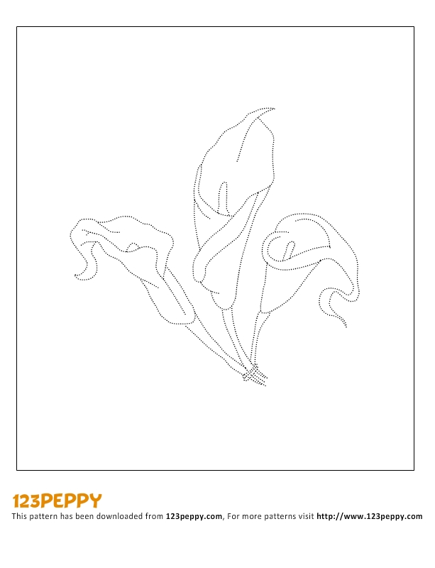 613x800 Printable How To Draw Pattern - Calla Lily Drawing Pattern