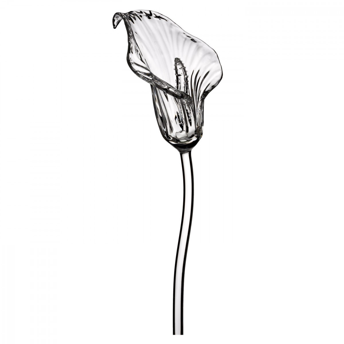1200x1200 Fleurology Jeff Leatham Flowers Calla Lily - Calla Lily Flower Drawing